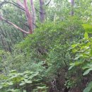 도대1리 마을회관 이미지