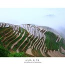 계림여관 Daum카페
