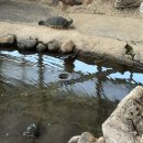 천곡농장 이미지