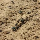 안지랑 어린이공원 이미지