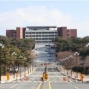 경주대박물관 헤럴드경제
