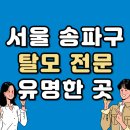 서울 송파구 탈모 전문 병원 두피 탈모관리 잘하는 곳 추천 List