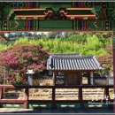 유림-1023 이미지