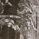 오름푸드 경북 이미지