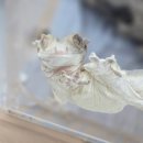 GS25 남천봉황점 | [25.11 - 12]