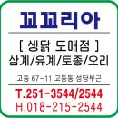 꼬꼬리아 이미지