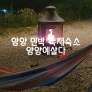 양양에 살다 | 양양 민박 양양에살다 독채 숙소