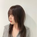 시아디자인 이미지