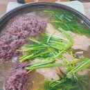 오리좋아 이미지