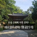 창원 성주사 목조석가여래삼불좌상 | 가까이에 숨어있던 천년 보물! 【창원 불모산 성주사】 맨발 황톳길 걷기에서 찾은 진정한 '쉼'