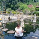 동부렌트카 이미지