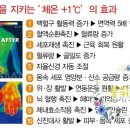 테라힐스 네이버블로그