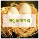 청솔유통 네이버블로그
