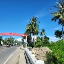 가자남쪽나라 이미지