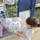 UR(상주시)-[삼백로]-상-5 | 콧바람 쐬고 오다 : 상주 모자축제 &amp; 문경 문희농원