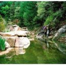 구수골농장 이미지