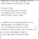 욜로 Daum카페