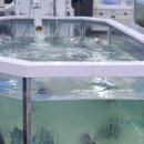 (주)탐라수산 이미지