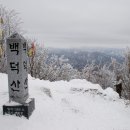 1월 정기산행(1월17일 일요일) 백덕산 알립니다. 이미지