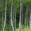 곰실목장 이미지