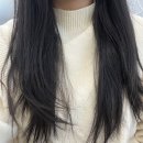 티엔피 | [대전/둔산동]얼굴형에 적합한 헤어컨설팅 미용실 추천 레이어드컷 후기 [에이티엔피대전 아트터닝포인트]