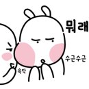 똥광노래