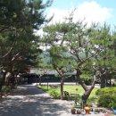 가평소나무팬션 이미지