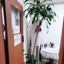 이든네이처 일산백석지사 | 일산 백석동 발효건강전문 이든네이처 지사 소개