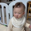 하루의 기억 | 하루의 절반인 후기 이유식 세끼일상