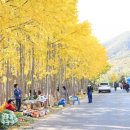 도리내마을 이미지