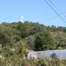 분당-121 이미지