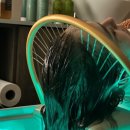 지우스파 이미지