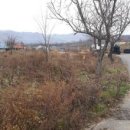 행복한전원공인중개사사무소 이미지