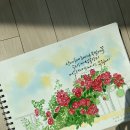 어반스케치 이미지