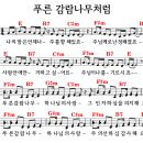 푸른감람나무 이미지