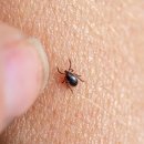 피등목장 이미지