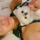 척척박사 이미지