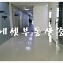 강남상가㉵ Daum카페