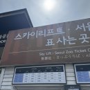 소풍길 힐링 산책(강좌번호 : 4) | 대공원 벚꽃과 올해 마지막 리프트 즐기기 내돈내산 꿀팁 후기 l 주차, 발렛, 대공원 이용료, 코끼리 열차