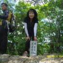 일봉모텔 Daum카페