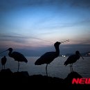 이슬아트 이미지
