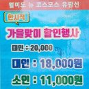 뉴코스모스호 2 티스토리