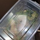 의좋은형제한의원 이미지