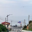 일출언덕신산게스트하우스 | [묵호 혼여 2박 3일] 남들 가보는데 다 가보는 묵호에서의 3일 (스압)