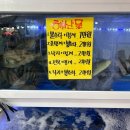 돌돔이회포장 | 서귀포 올레시장 횟집 기흥어물 붉바리 돌돔 회포장 후기
