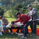 서대한우농장 이미지