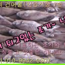 유진건어물 - 1177 | 유진건어물