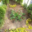 효성지구대 이미지