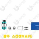 광주전자담배스칸센VAPE 이미지