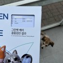 한국사료향미양행 | 5월~ ② 오사카살이 이틀 만에 열쇠 잃어버린 썰 푼다.